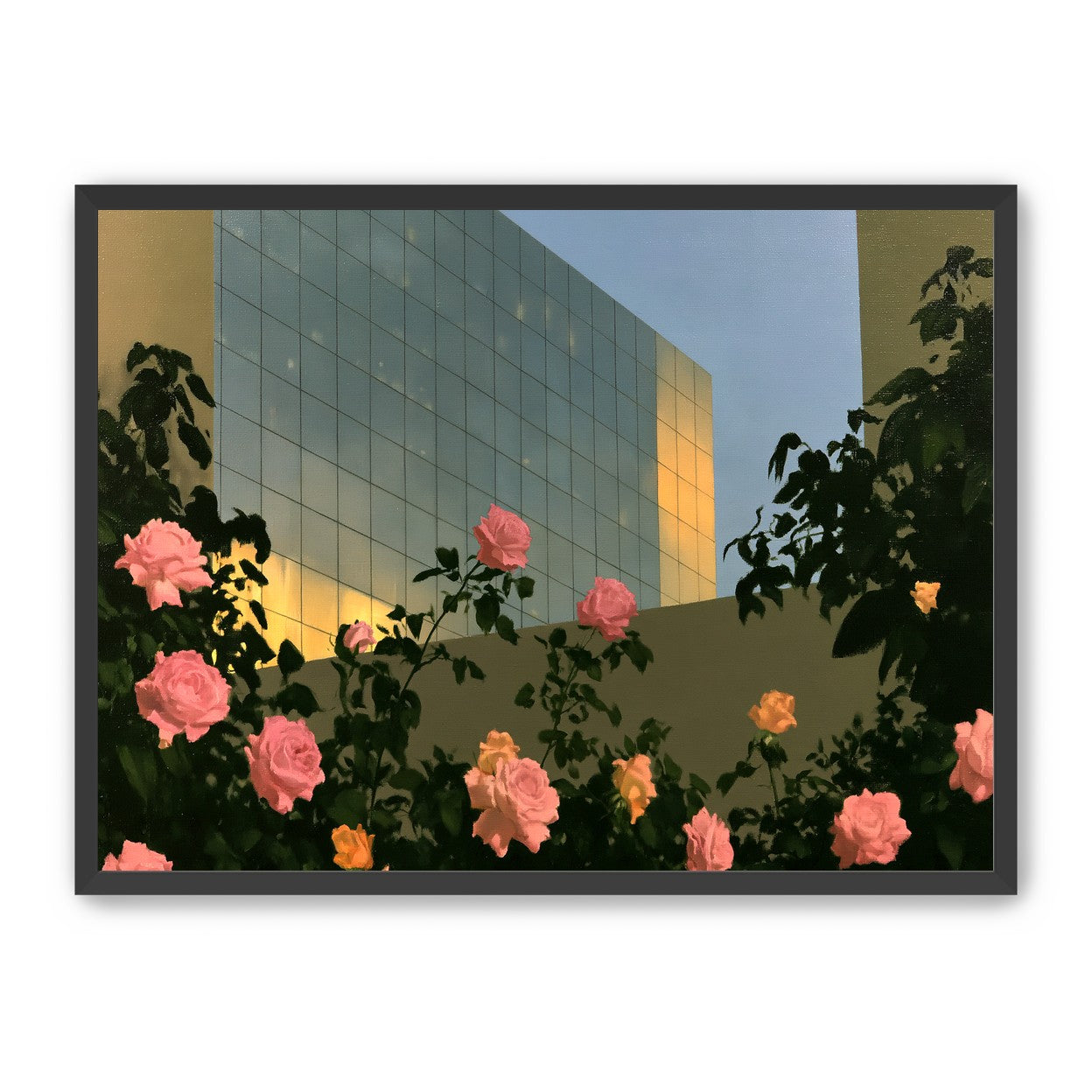 Roses against the glass wall