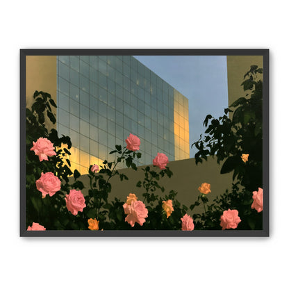 Roses against the glass wall