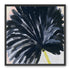 Black petals in pale light