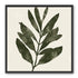 Still branch on pale paper