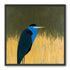 Blue bird in yellow grass