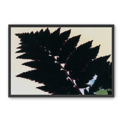 Black leaves on pale ground