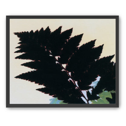 Black leaves on pale ground