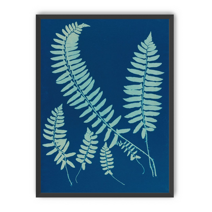 Fern shadows in blue