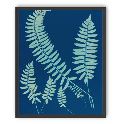 Fern shadows in blue