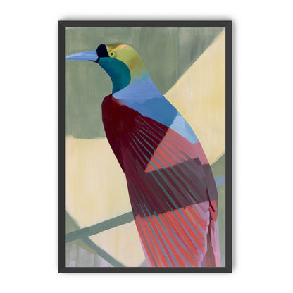 Teal throat on maroon wing