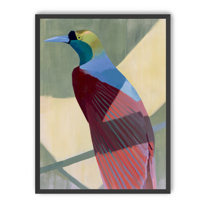 Teal throat on maroon wing
