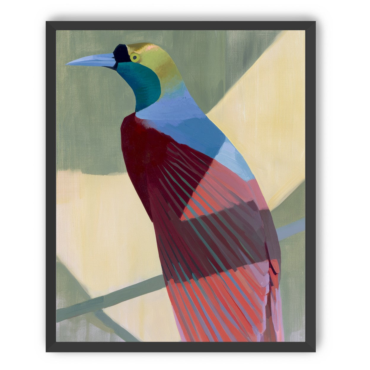 Teal throat on maroon wing