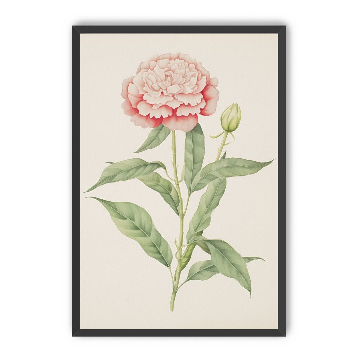 Delicate Blush