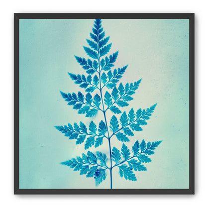 stems and leaves
