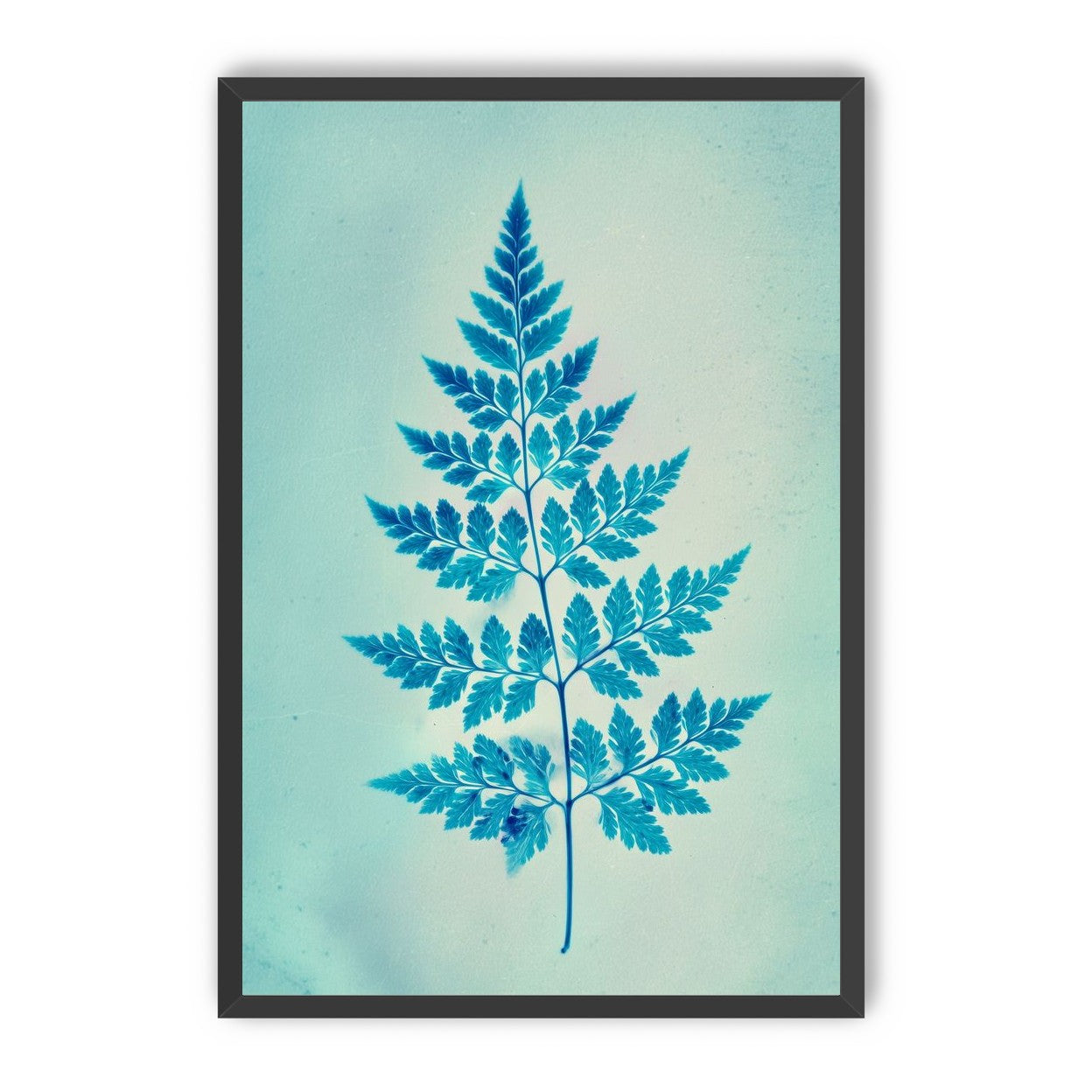 stems and leaves