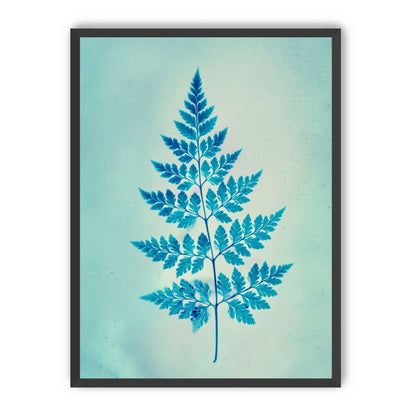 stems and leaves