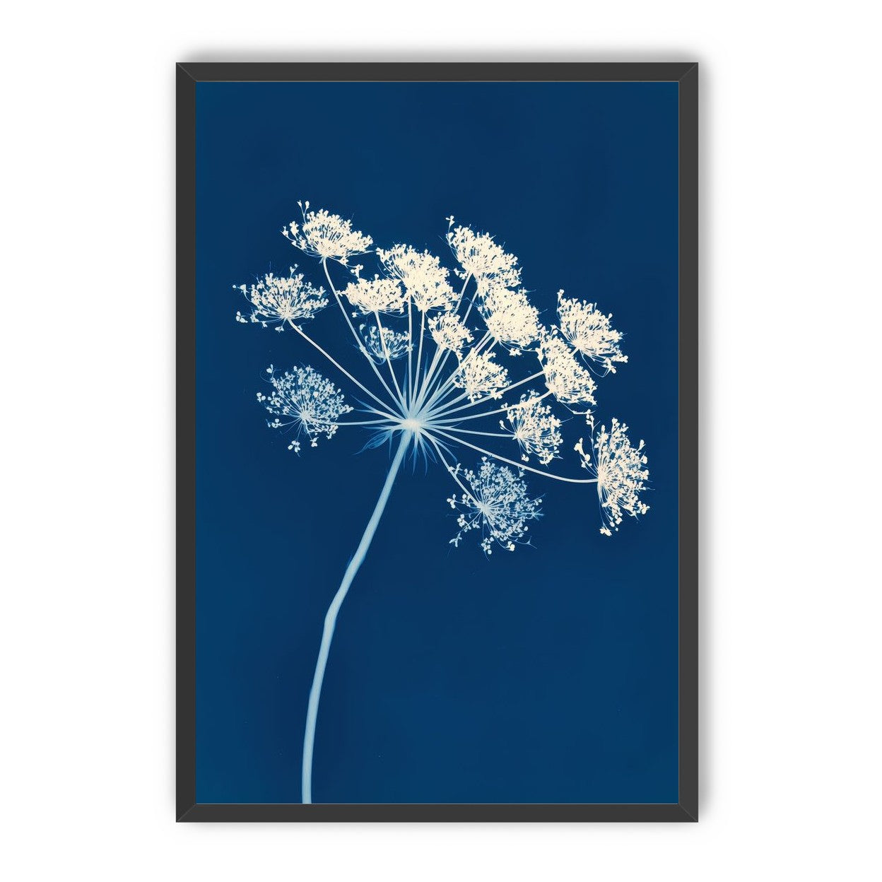 Midnight Bloom