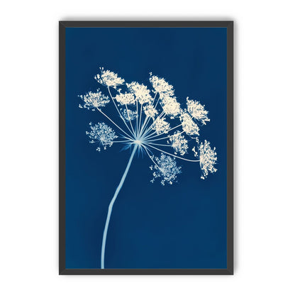 Midnight Bloom