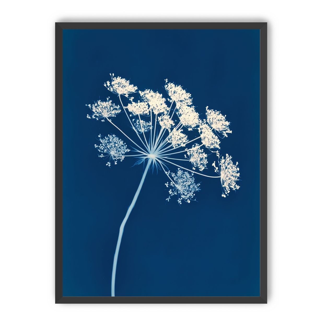 Midnight Bloom