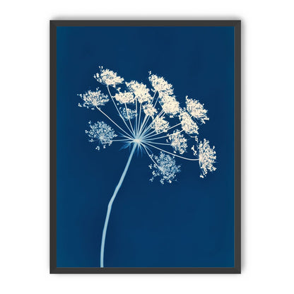Midnight Bloom
