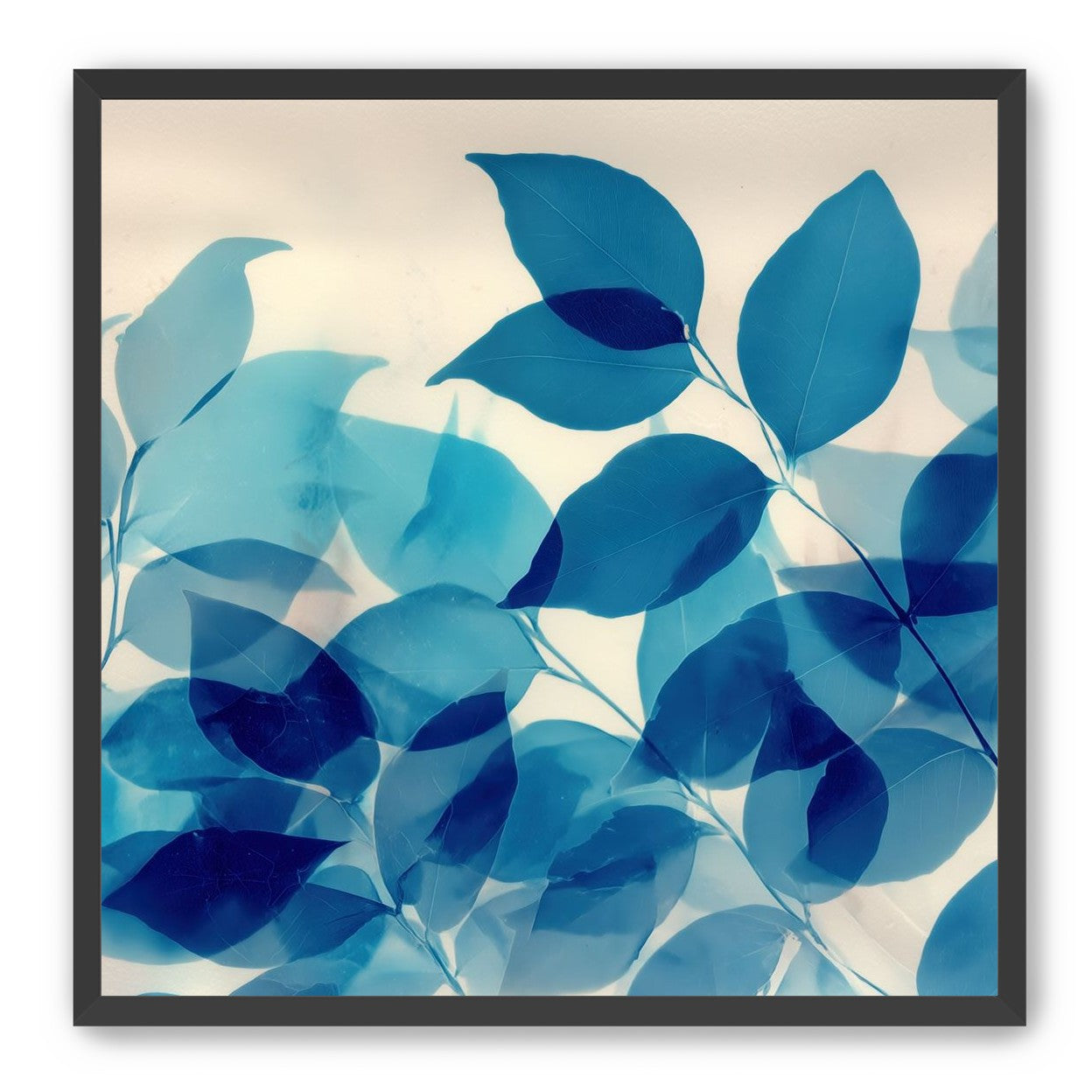 Leaves Spread in Light