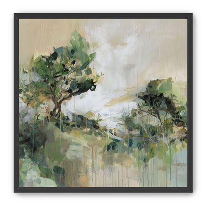 Tree Canopies in Pale Light