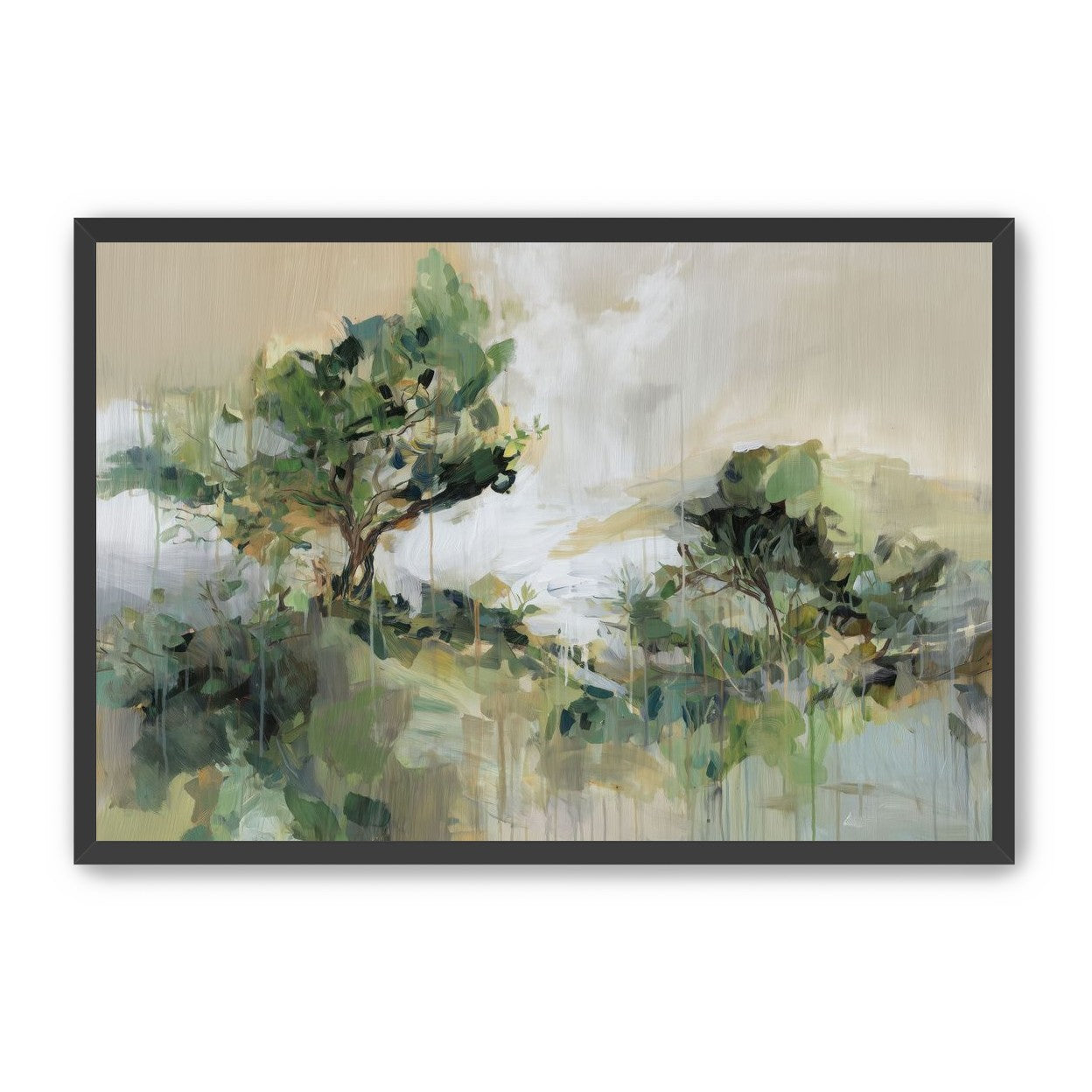 Tree Canopies in Pale Light