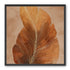 Bronze Leaf