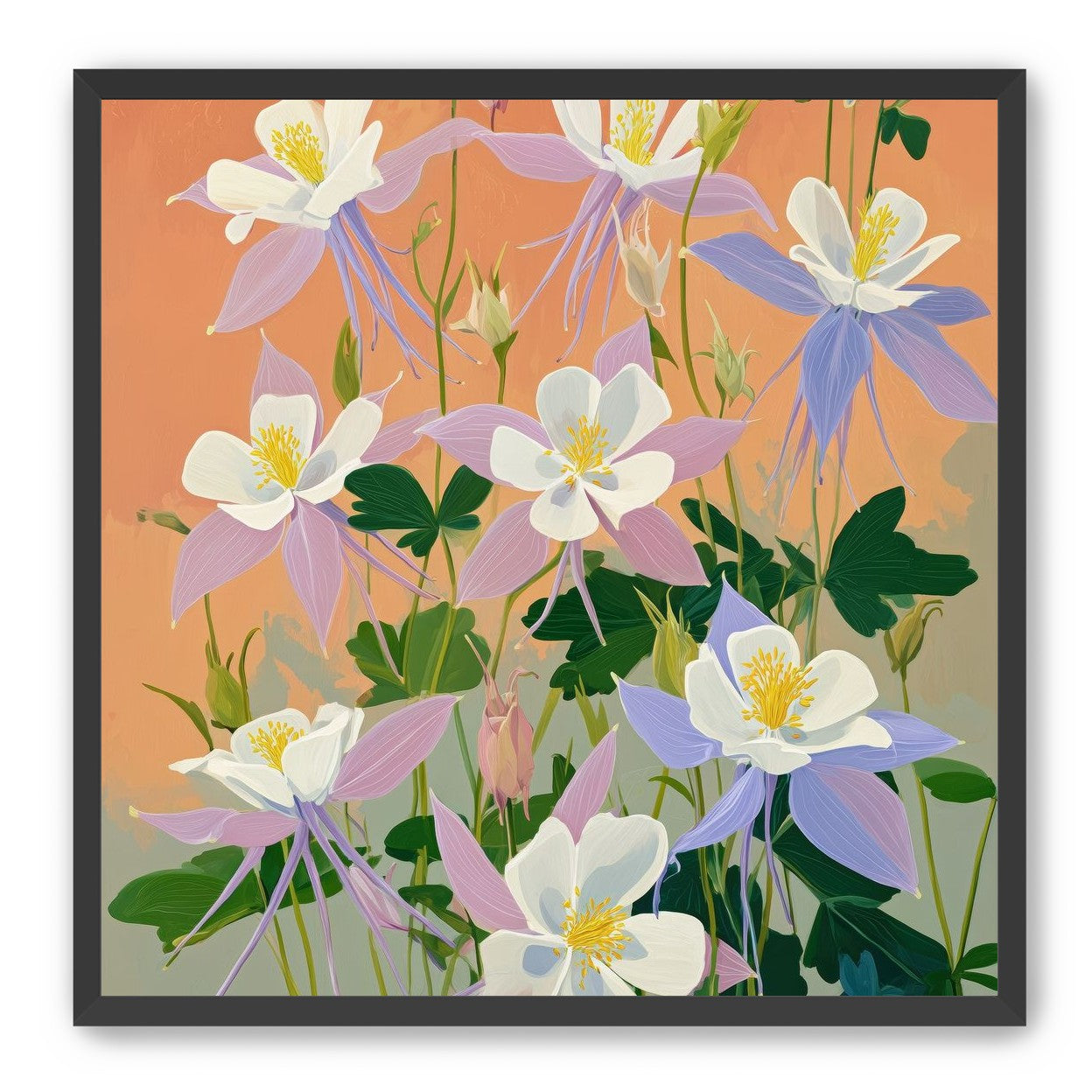 Columbines in Bloom
