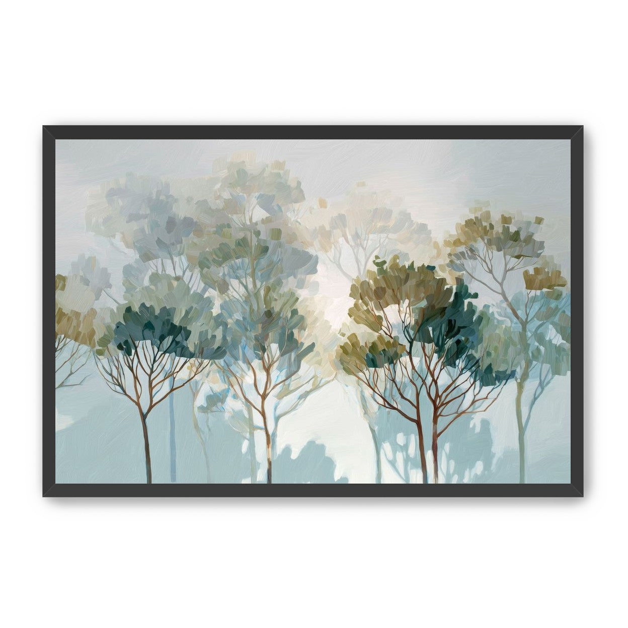 Multiple Trees in Gentle Light