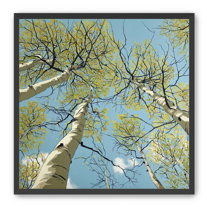 Yellow Leaves Against the Sky