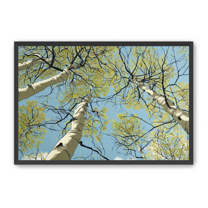 Yellow Leaves Against the Sky