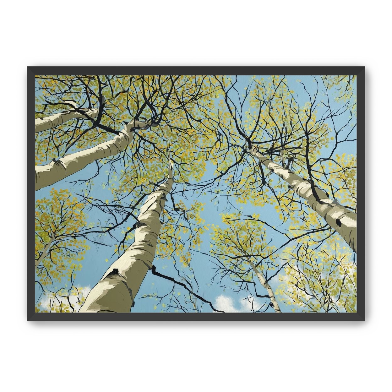 Yellow Leaves Against the Sky