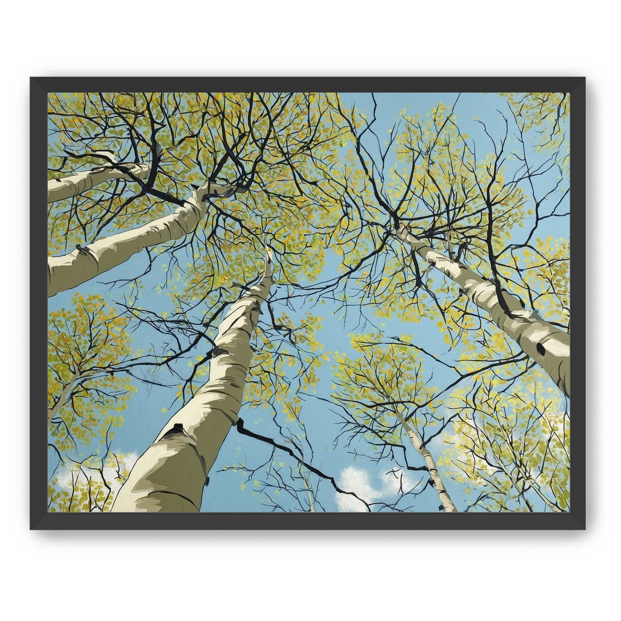 Yellow Leaves Against the Sky