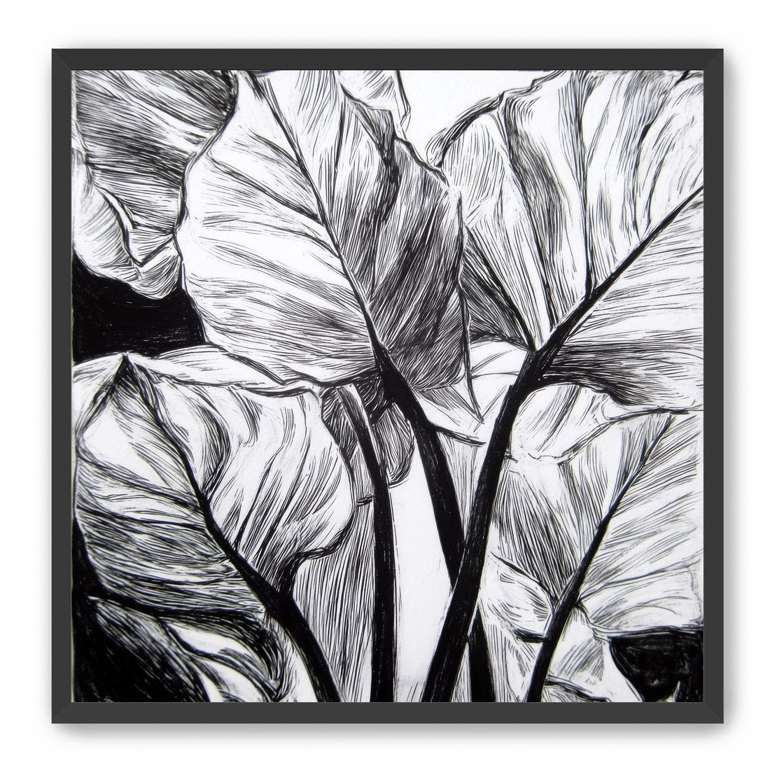 Overlapping Leaves on Dark Ground
