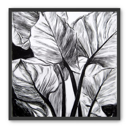 Overlapping Leaves on Dark Ground