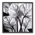 Overlapping Leaves on Dark Ground