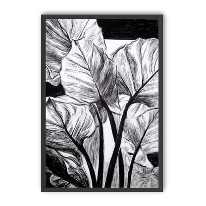 Overlapping Leaves on Dark Ground