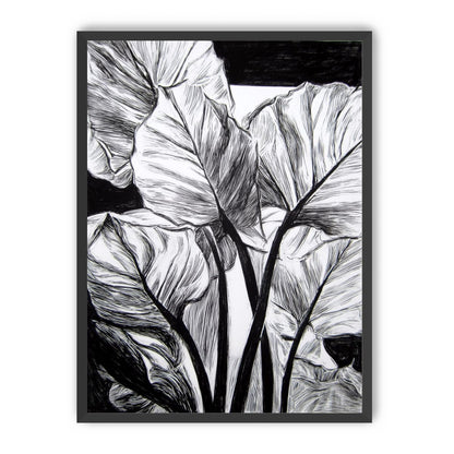 Overlapping Leaves on Dark Ground