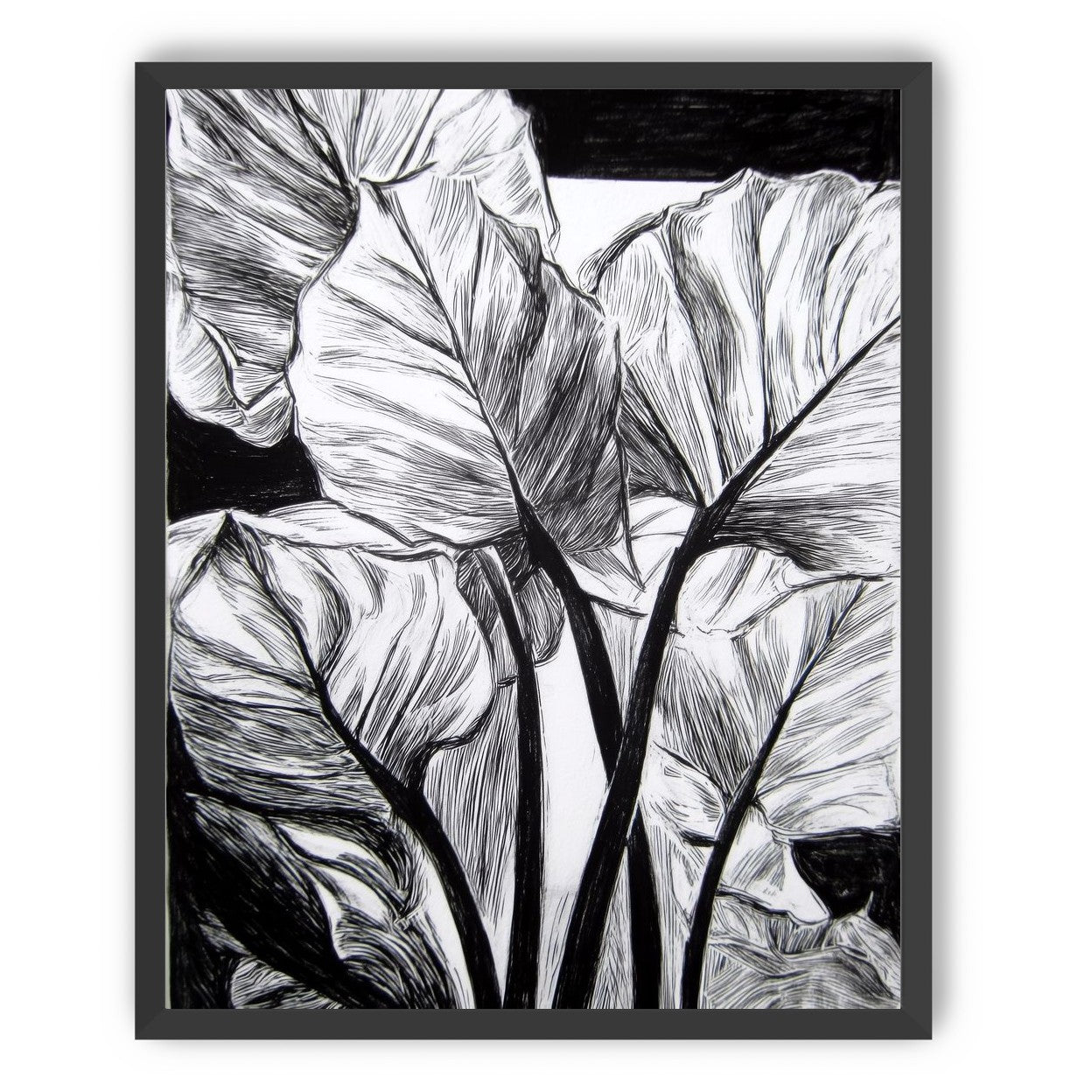 Overlapping Leaves on Dark Ground