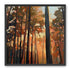 Forest Awakening