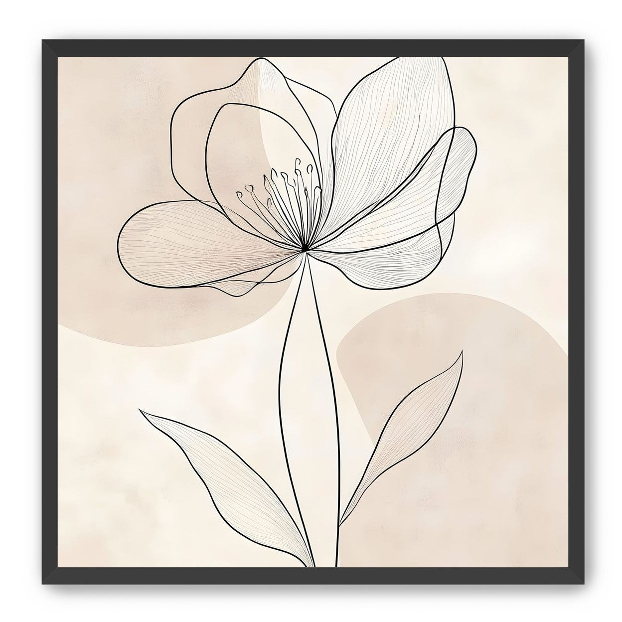 Single Bloom
