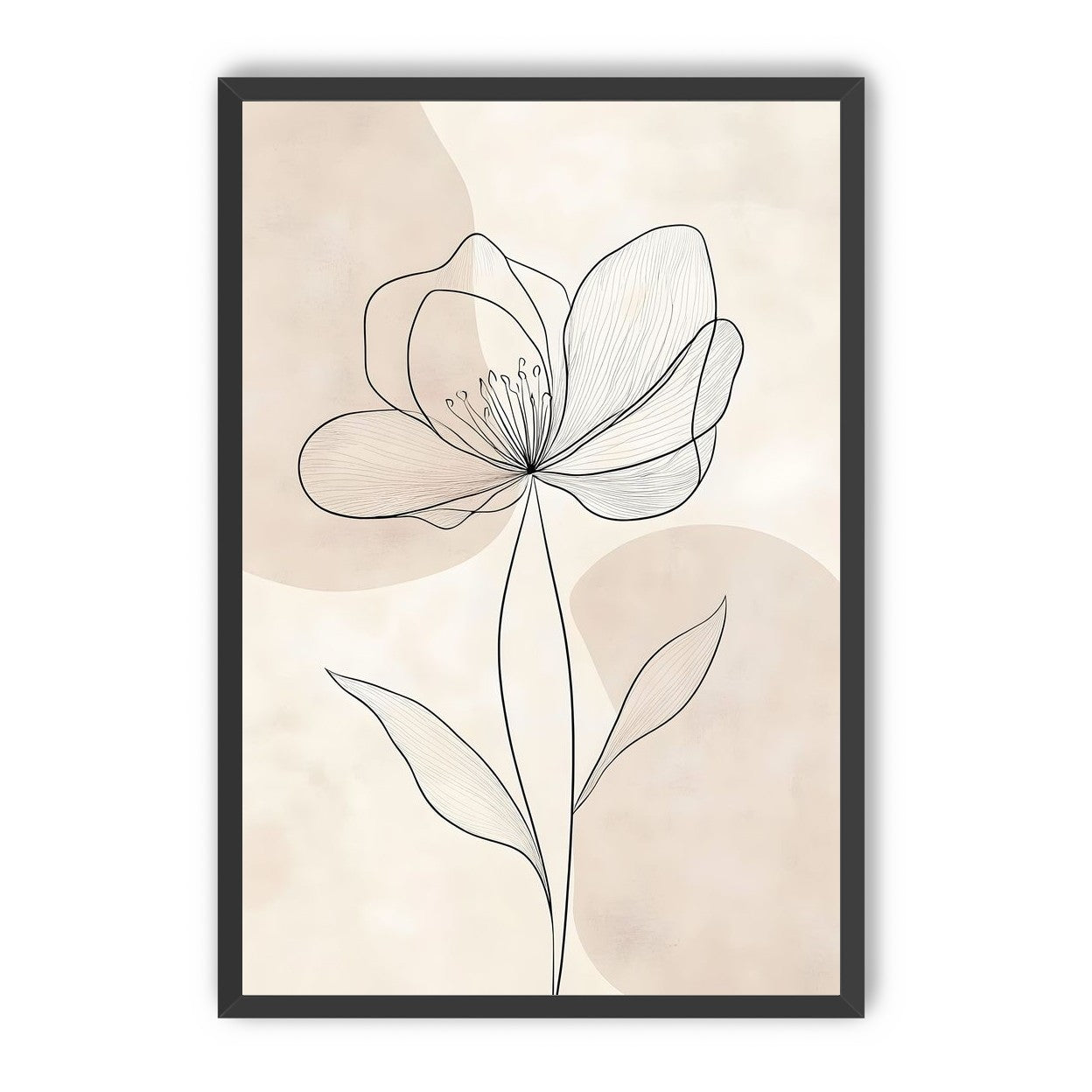 Single Bloom