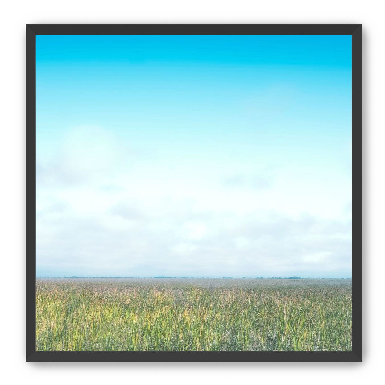 Grasslands