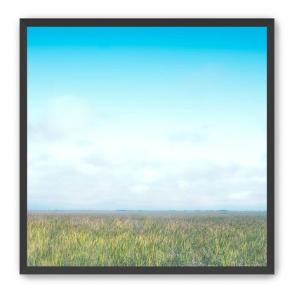 Grasslands