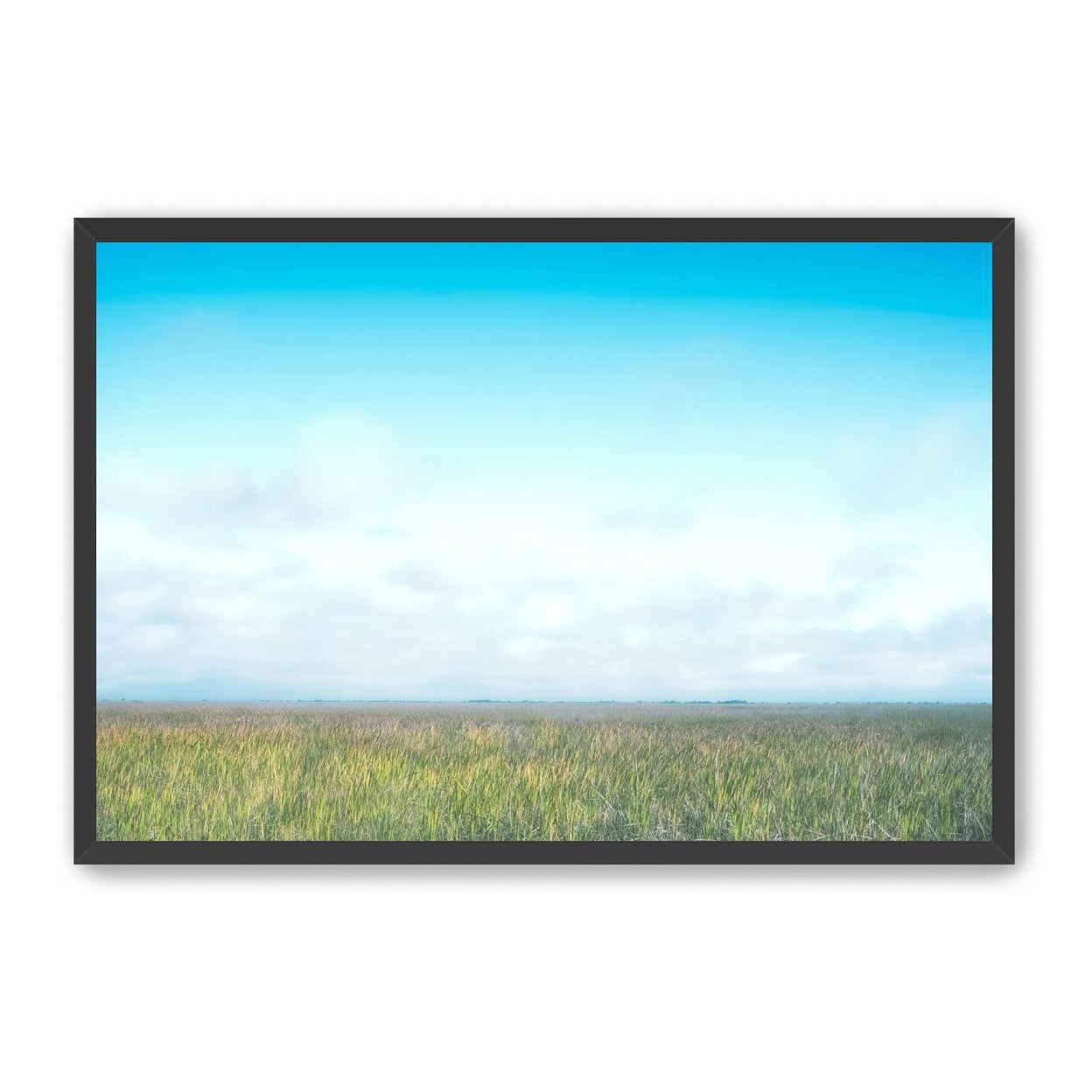 Grasslands