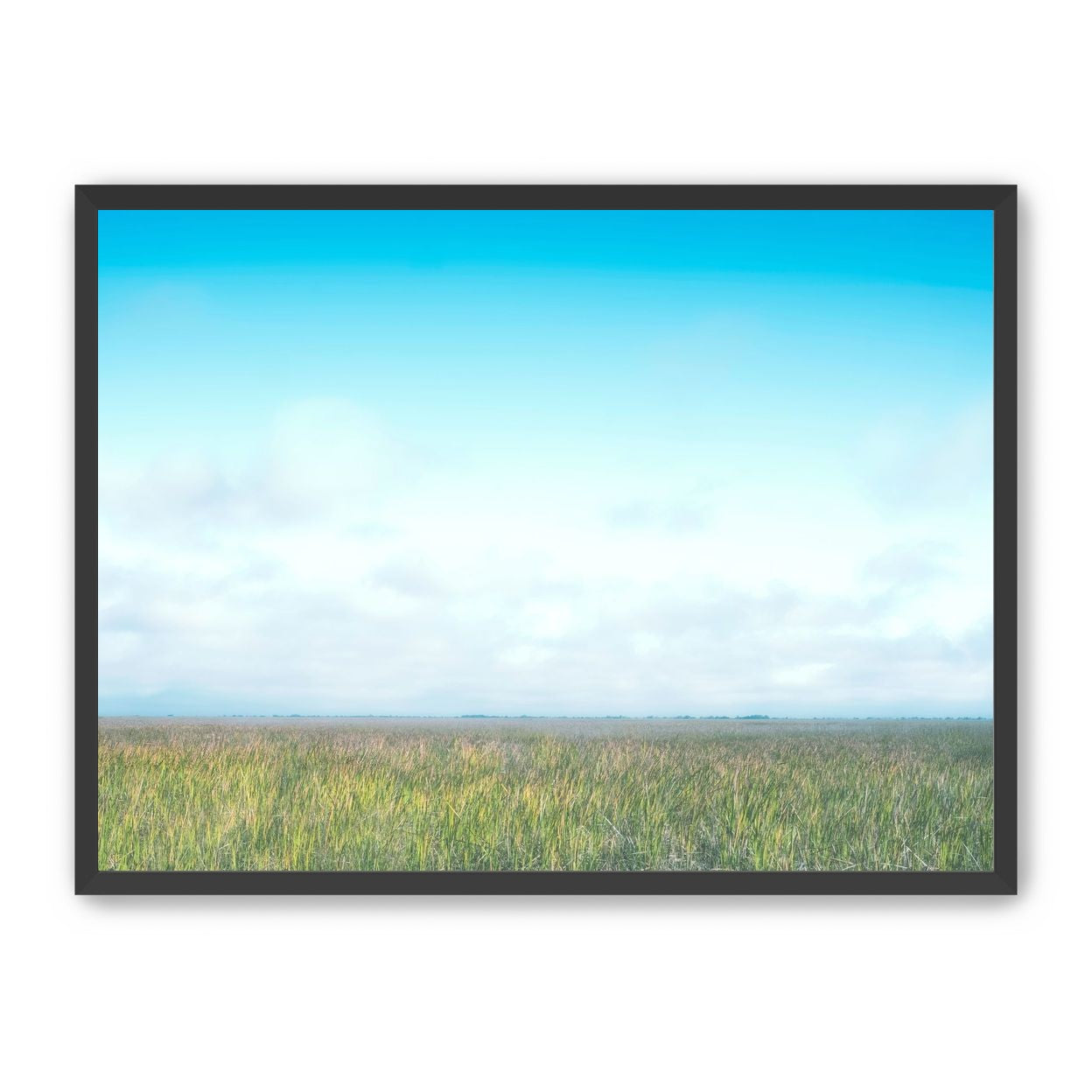 Grasslands