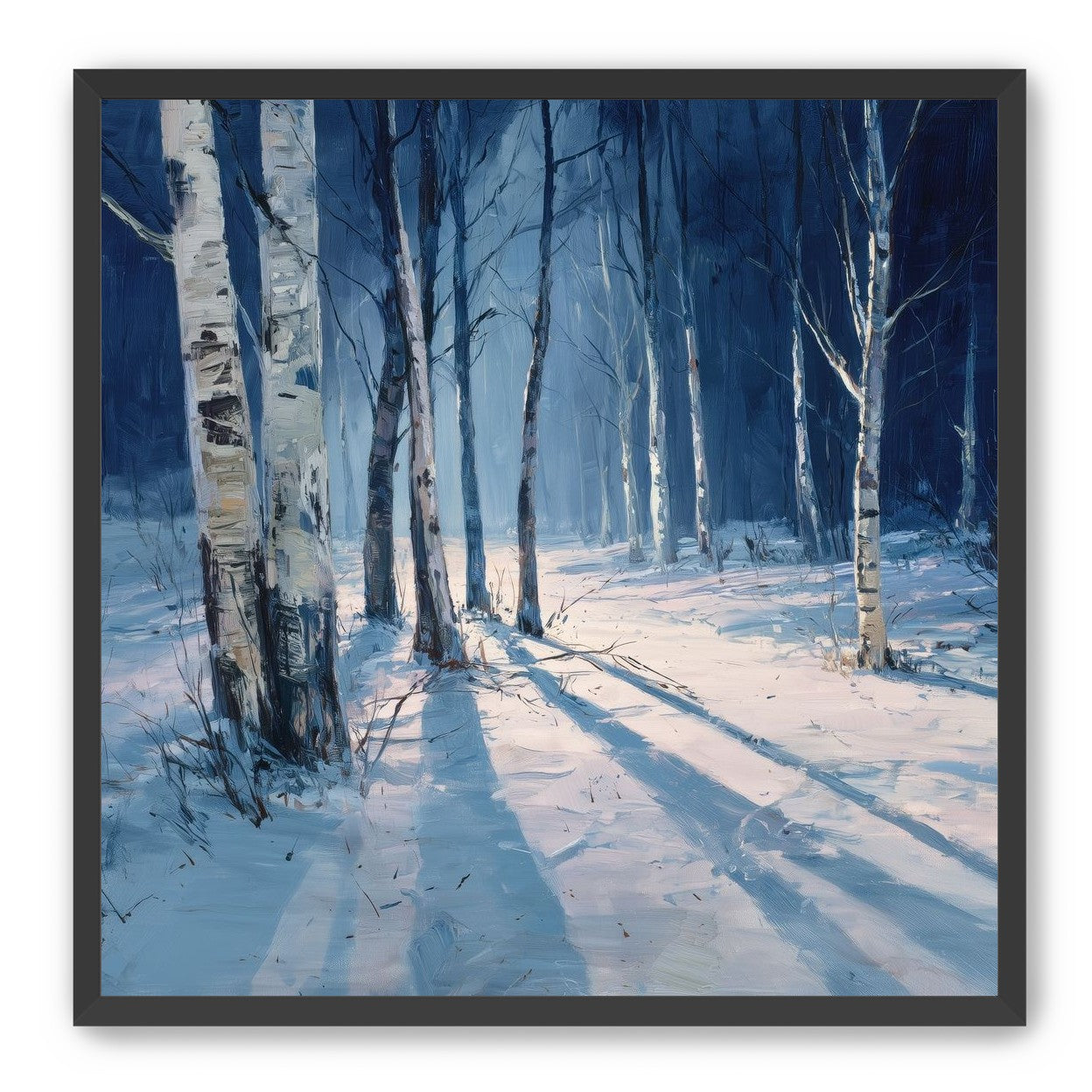 Snow Shadows Between Trunks