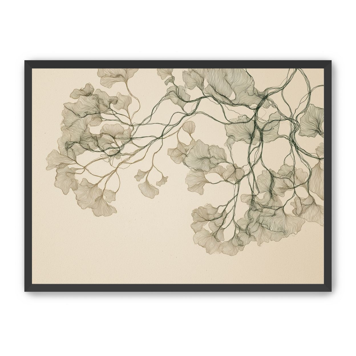 Open Canopies in Ink
