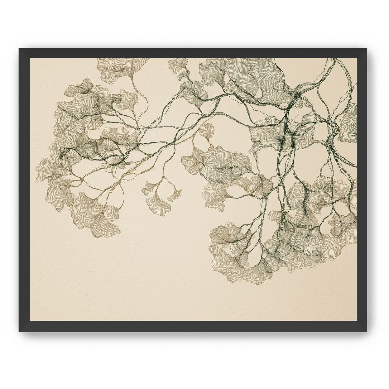 Open Canopies in Ink