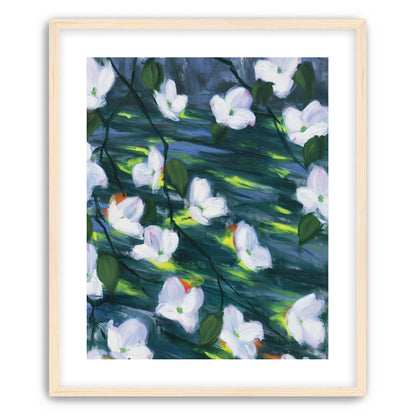 White blossoms on dark water