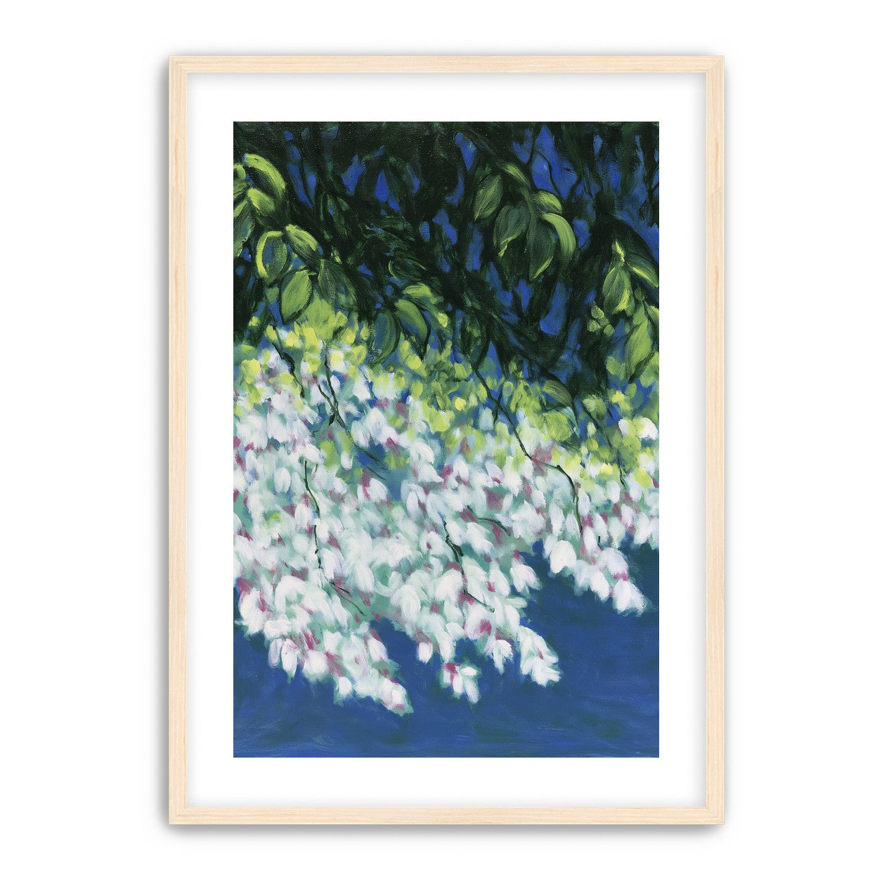 White blossoms in blue shade
