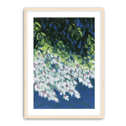 White blossoms in blue shade