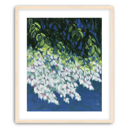 White blossoms in blue shade